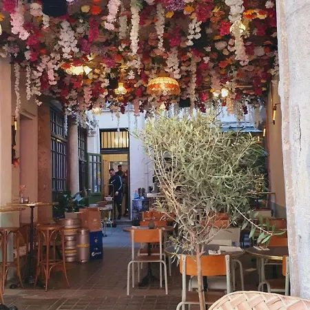 La Terrasse Des Amandiers - Clim - Centre Perpignan